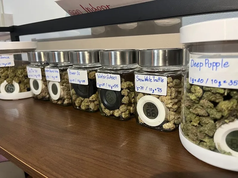 ร้านกัญชา ต้นไม้ยิ้ม Cannabis Shop