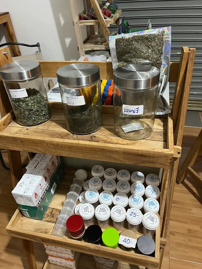 ร้านกัญชา ต้นไม้ยิ้ม Cannabis Shop