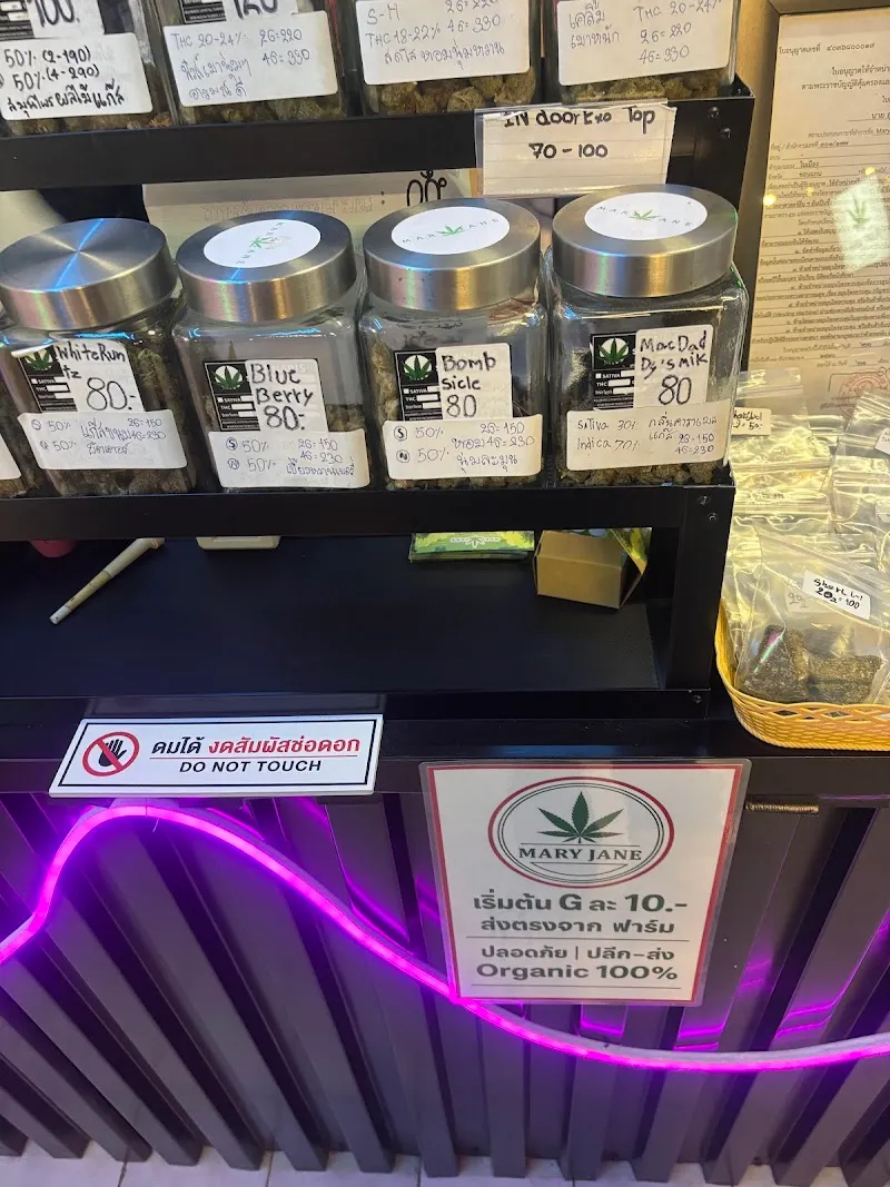 ร้านกัญชาเมรี่เจน - ขอนแก่น (Cannabis Shop)