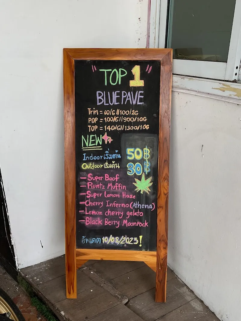 Cannabis Store Khon Kaen (สาขาหน้าเมือง)