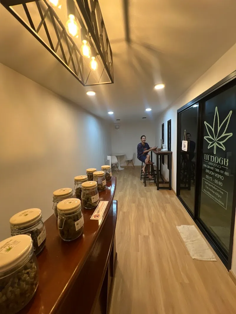 ยอดตาน CANNABIS2