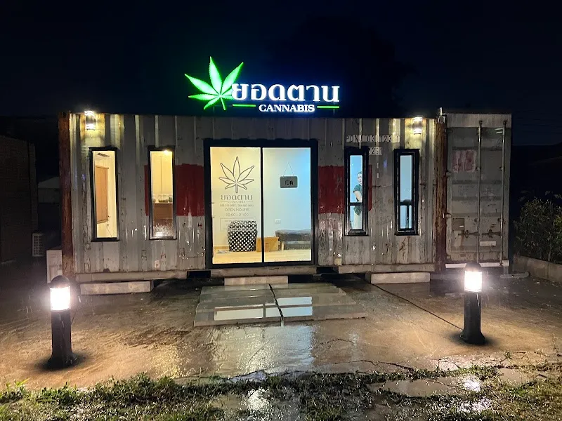 ยอดตาน CANNABIS2