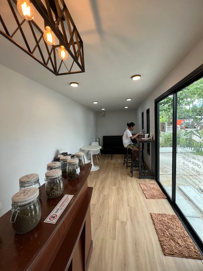 ยอดตาน CANNABIS2