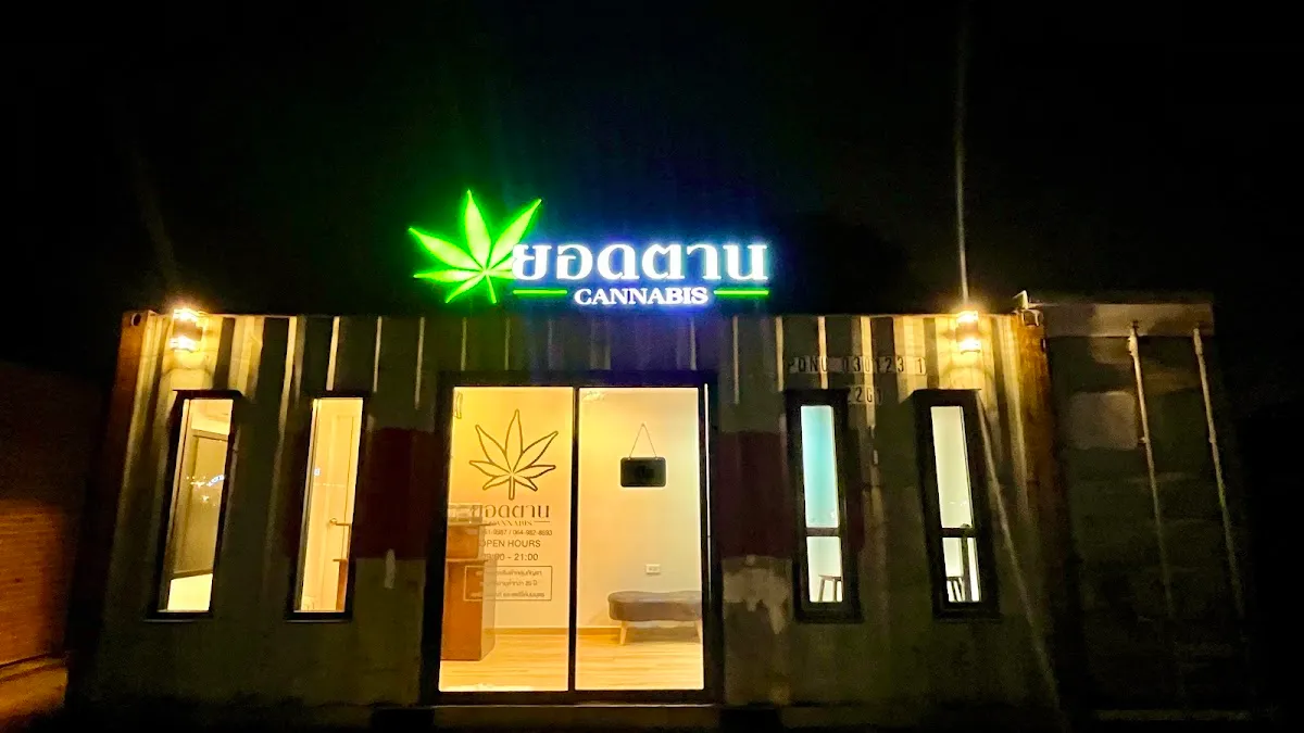 ยอดตาน CANNABIS2