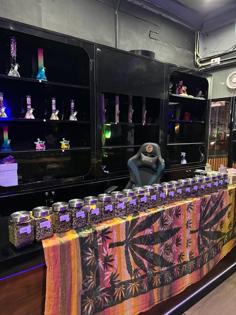 Cannabuzz ร้านกัญชาขอนแก่น