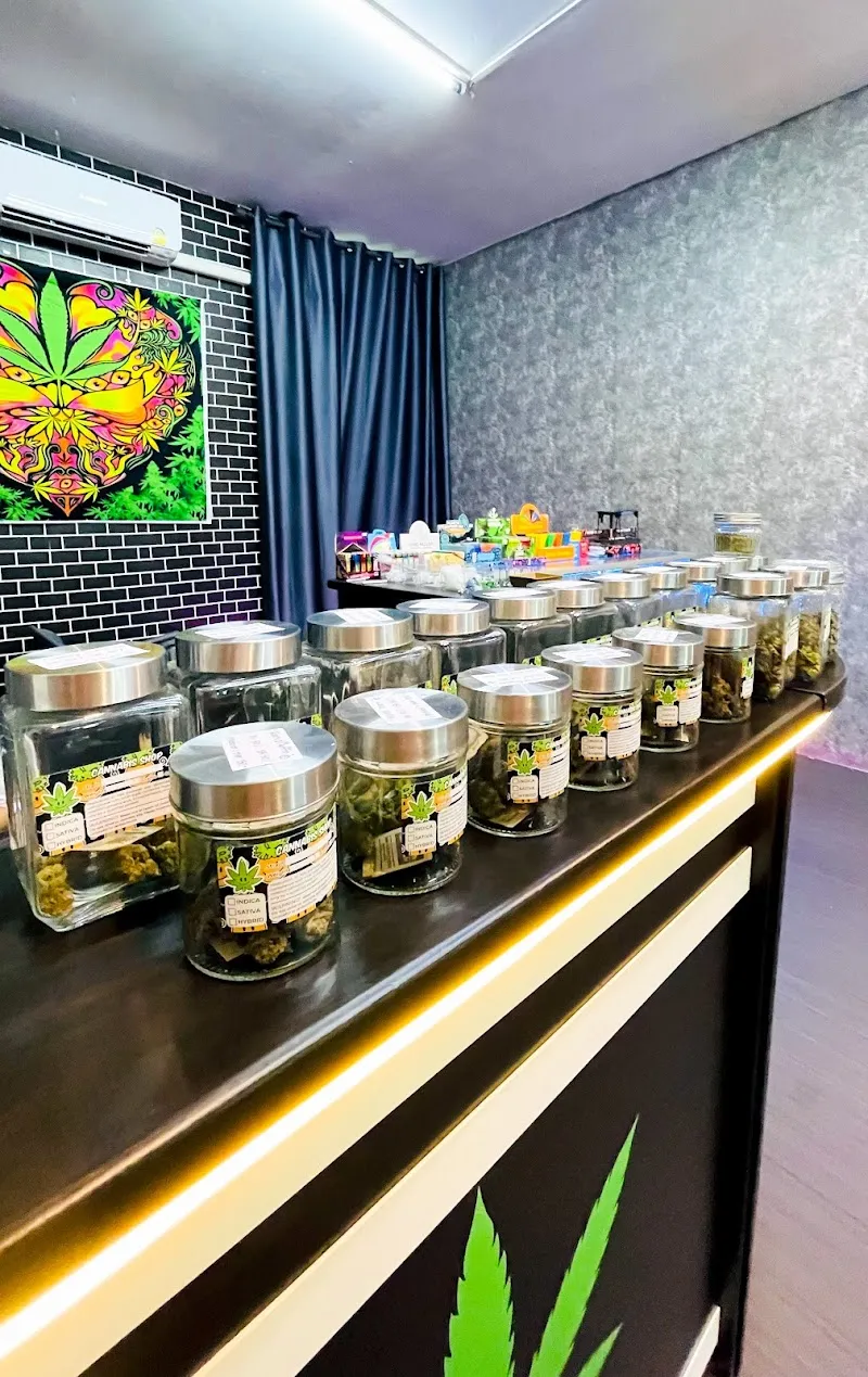 ร้านกัญชาใกล้ฉัน cannaweedkkc