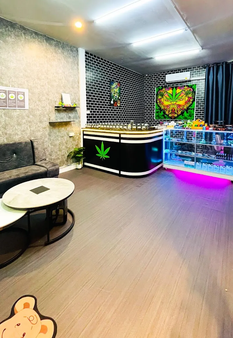 ร้านกัญชาใกล้ฉัน cannaweedkkc