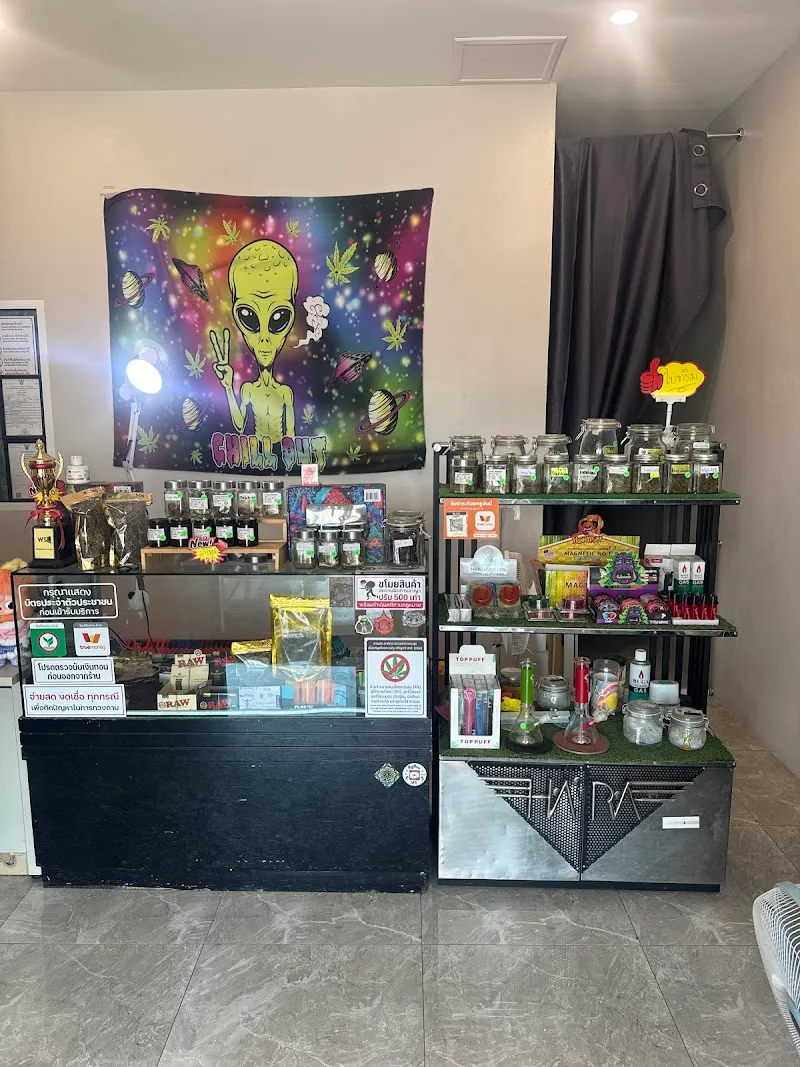 Chalamoon Cannabis (weed shop) กัญชา