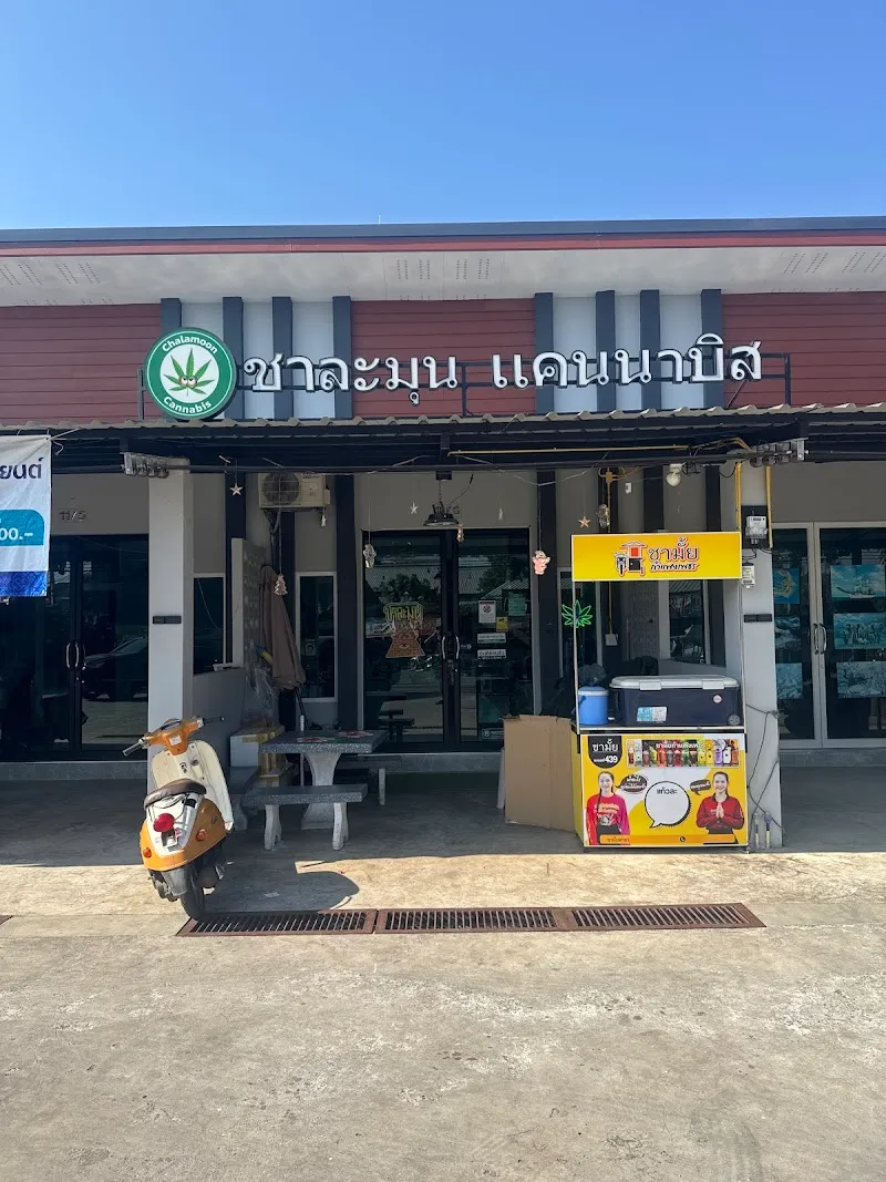 Chalamoon Cannabis (weed shop) กัญชา