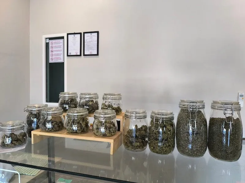 Chalamoon Cannabis (weed shop) กัญชา