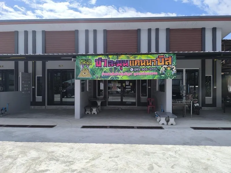Chalamoon Cannabis (weed shop) กัญชา
