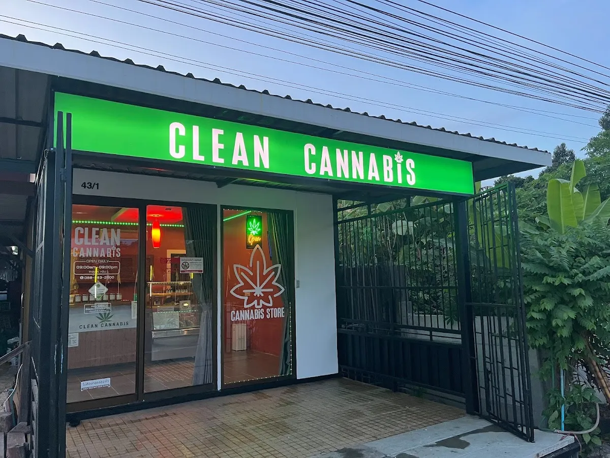 CLEAN CANNABIS