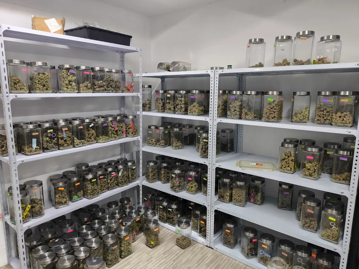 รักกัญCNC กัญชา cannabis