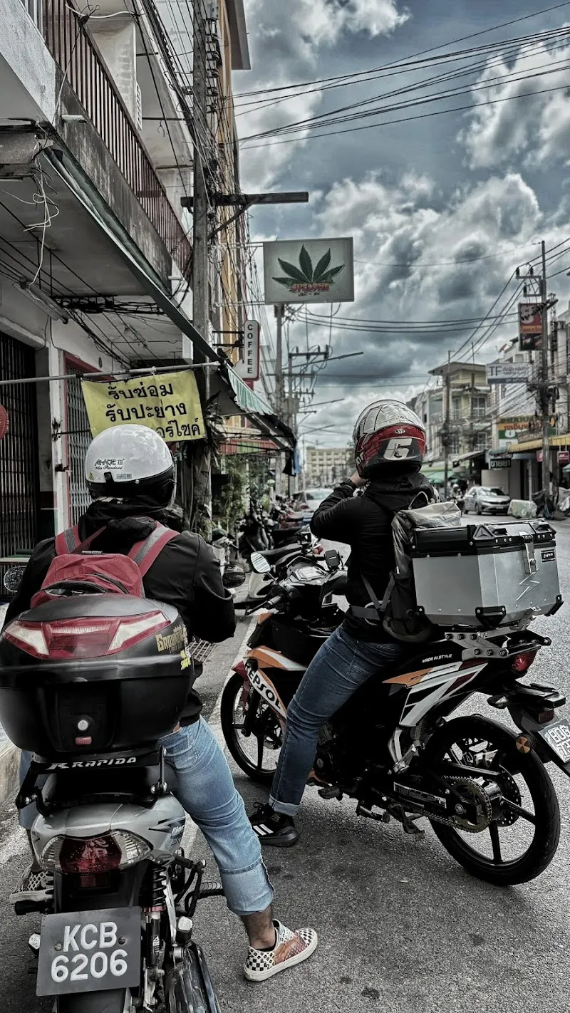 CycloneLab Hatyai cannabis Wholesale