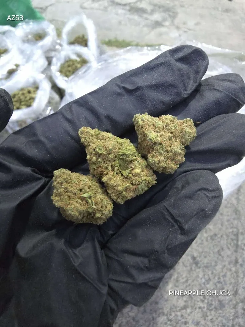 Dong keng cannabis shop