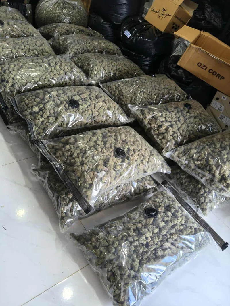 Doze of cannabis 420 กัญชาอุดรธานี