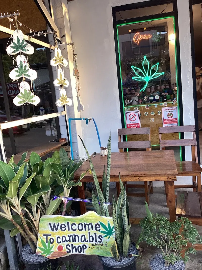 Enjoy Cannabis Shop(เอ็นจอย แคนนาบิส ช็อป)