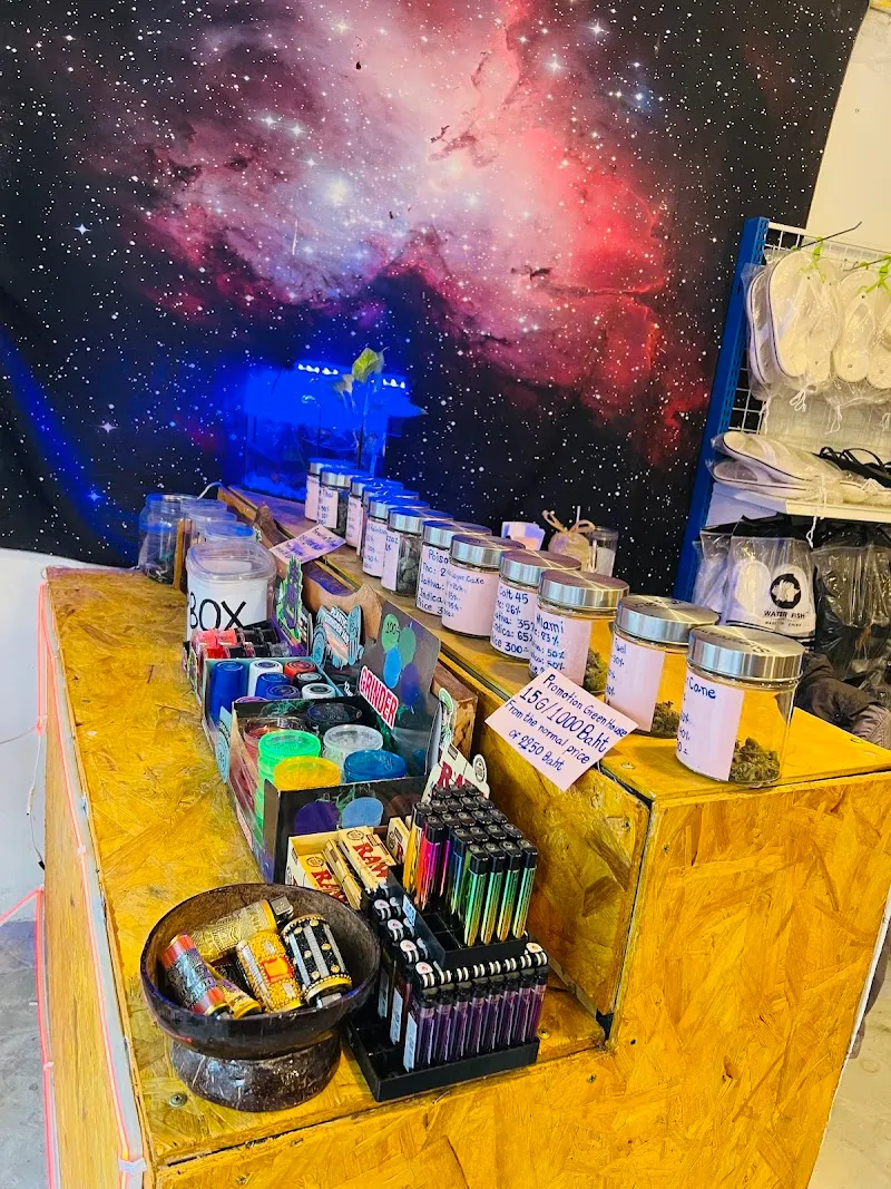 Enjoy Cannabis Shop(เอ็นจอย แคนนาบิส ช็อป)