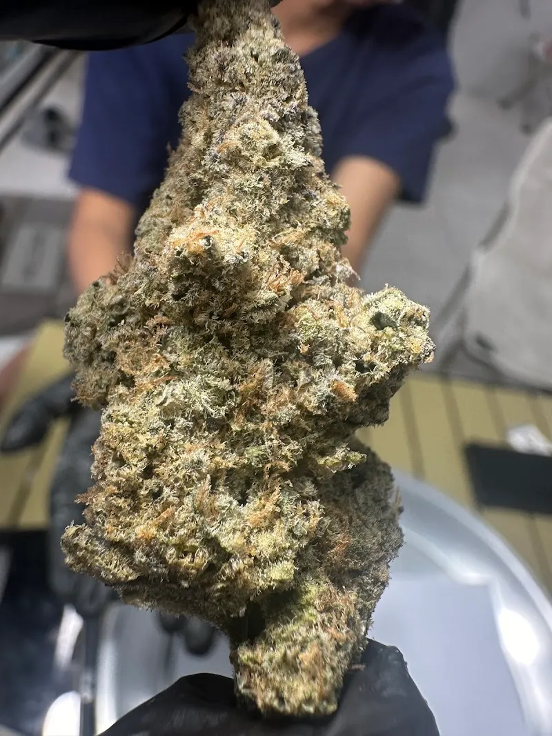 Exotic Cannabis & Bar Hatyai