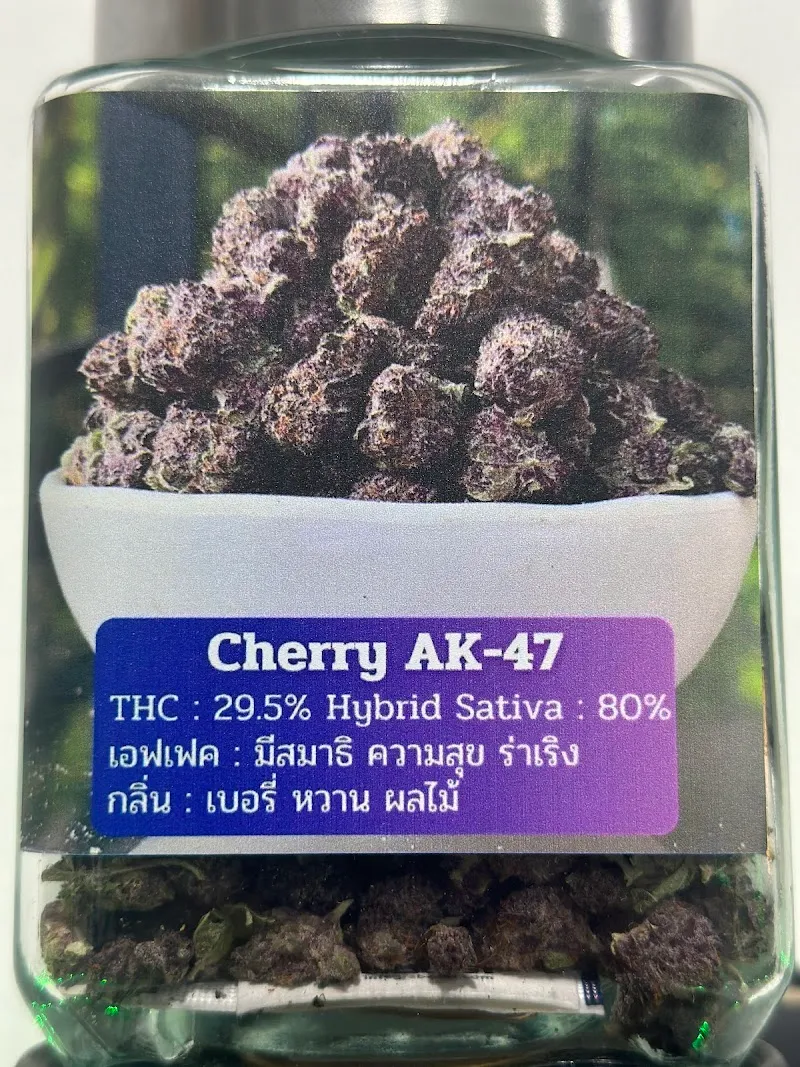 Exotic Cannabis & Bar Hatyai