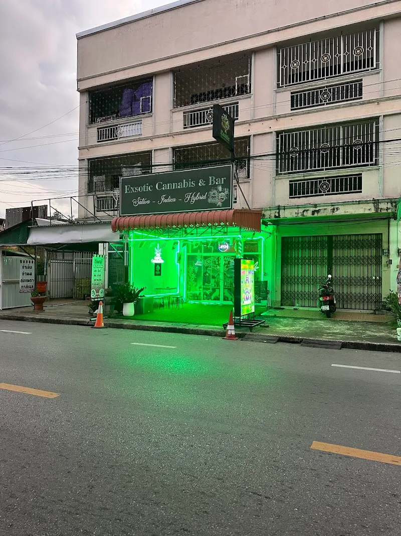 Exotic Cannabis & Bar Hatyai