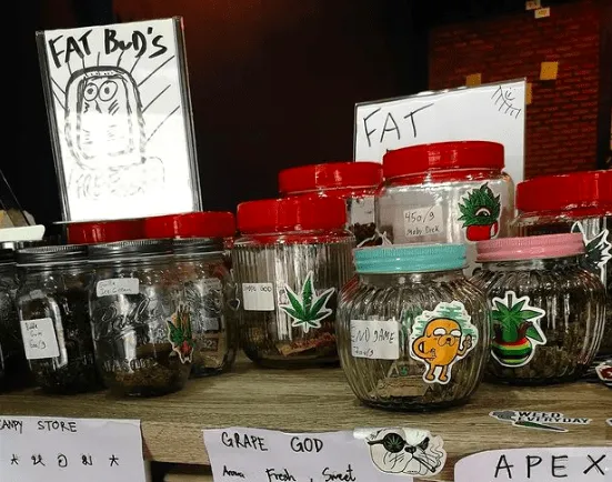 Fat Buds Weed Shop Ekkamai