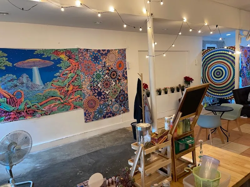 ร้านกัญชาFHC Cannabis store