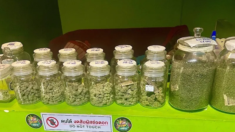 Fincannabis (KOB420)