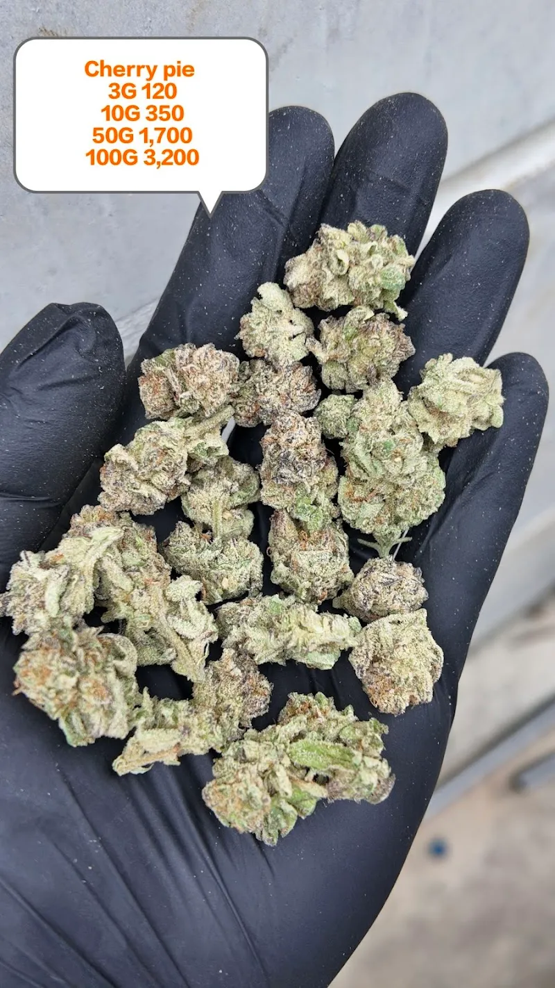 Fincannabis (KOB420)