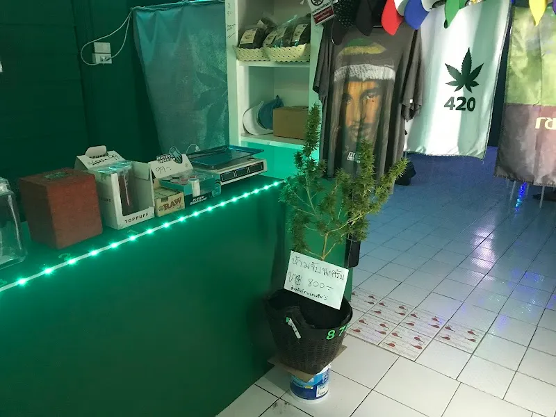 Fincannabis (KOB420)