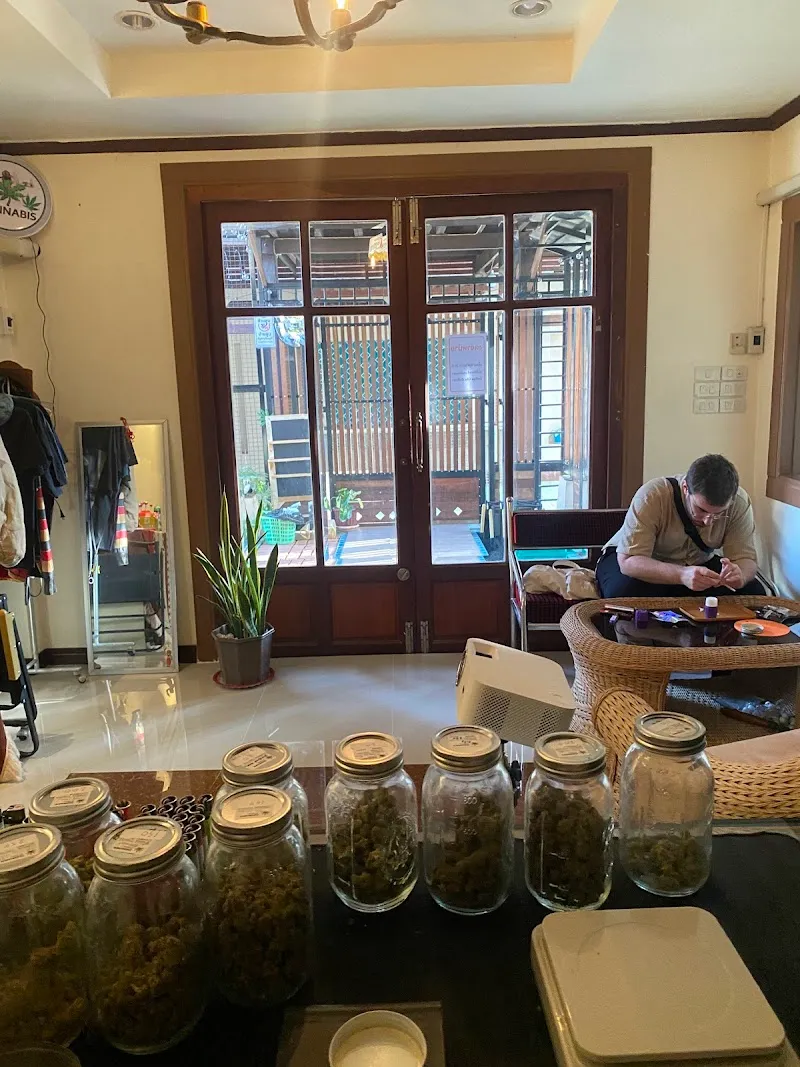 Flavorlist Studio - Cannabis Shop Ayutthaya (ร้านกัญชาอยุธยา)