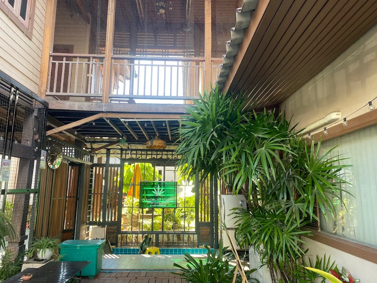 Flavorlist Studio - Cannabis Shop Ayutthaya (ร้านกัญชาอยุธยา)