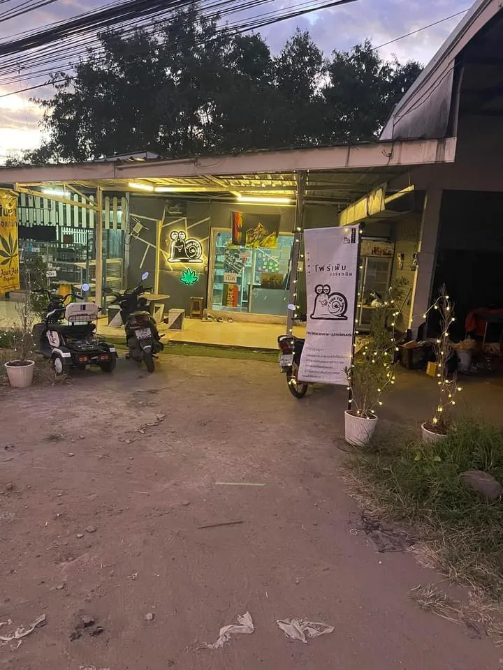 ร้านกัญชาFourFeb og1