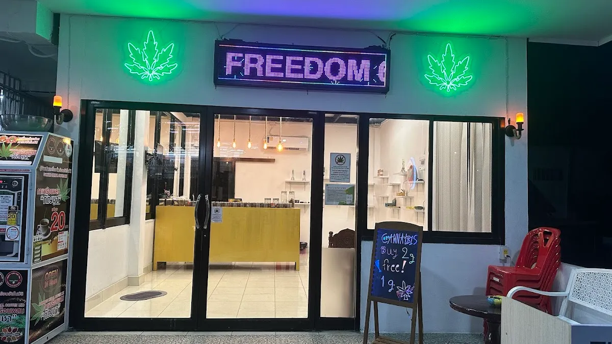 Freedom cannabis koh tao