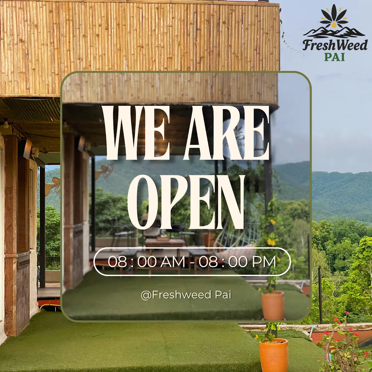 Fresh Weed Pai Cafe & Viewpoint (Cannabis & Coffee Shop)