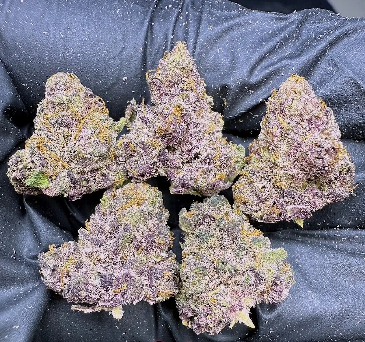 Galaxy cannabis ร้านกัญชาอุดร