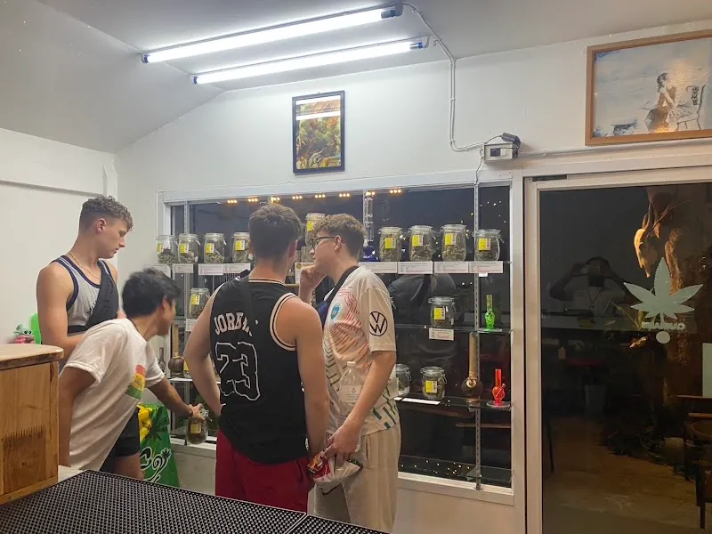Ganja Cannabis Shop & Snooker Club Bar Koh Tao