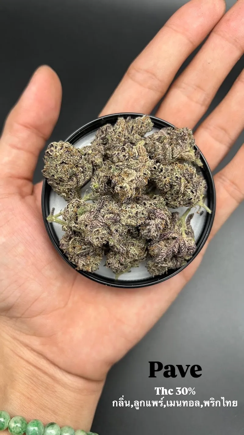 Gar x Ran cannabis