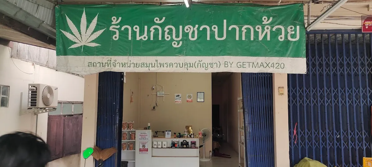 ร้านกัญชา ปากห้วยวังนอง GetMax420