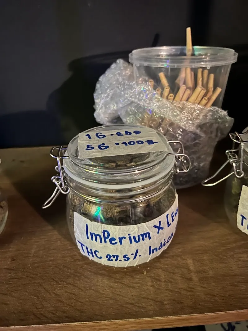 GM Cannabis(ร้านกัญชา)