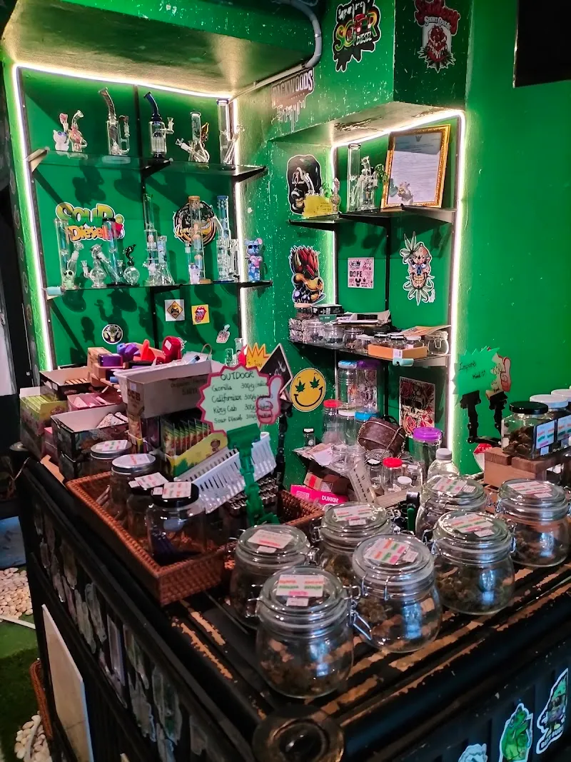 Green Bulls Cannabis Shop