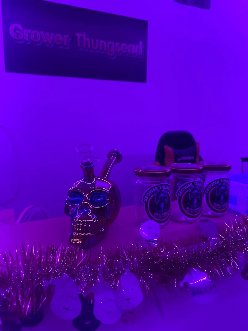 Grower Thungsead Marijuana (โกรเวอร์ทุ่งเซียด)