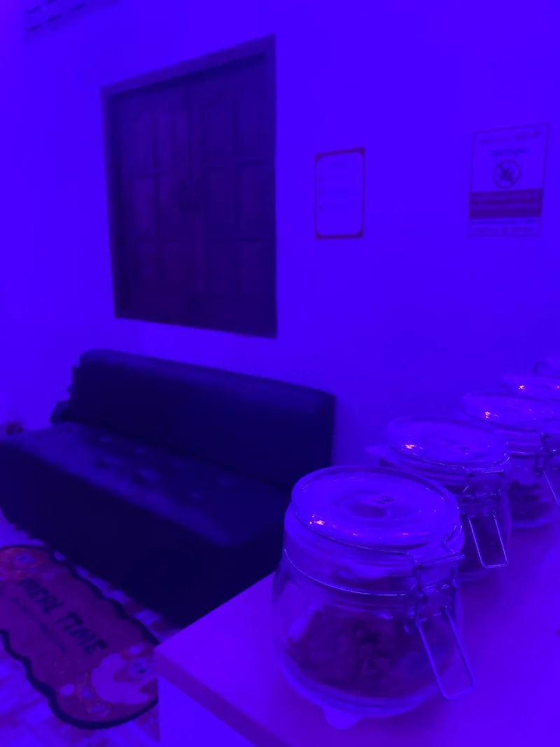 Grower Thungsead Marijuana (โกรเวอร์ทุ่งเซียด)