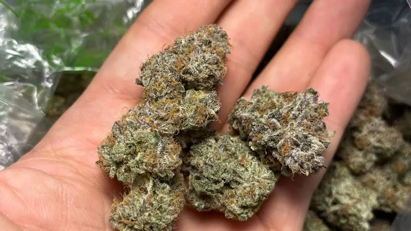 GURU 420 Dispensary