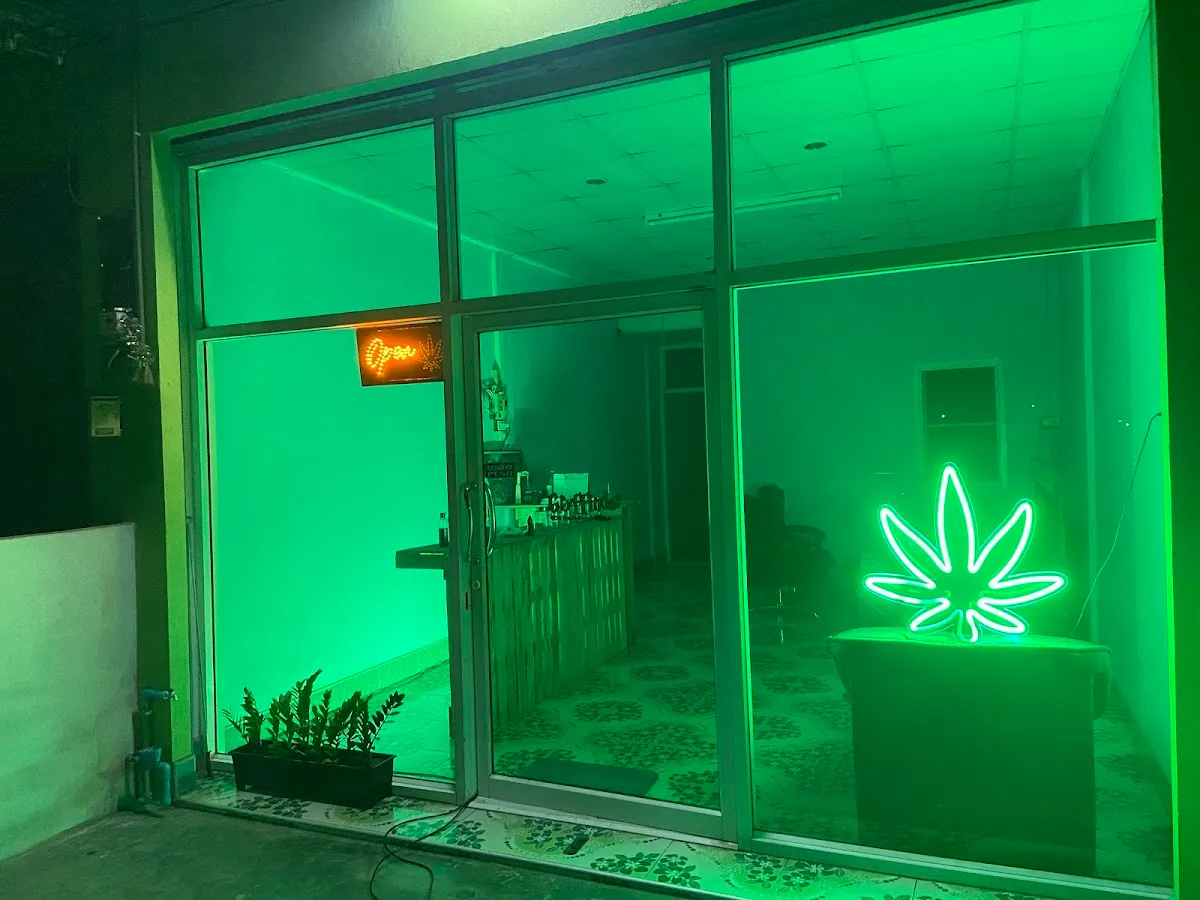 ร้านกัญชา Gusto Cannabis Shop