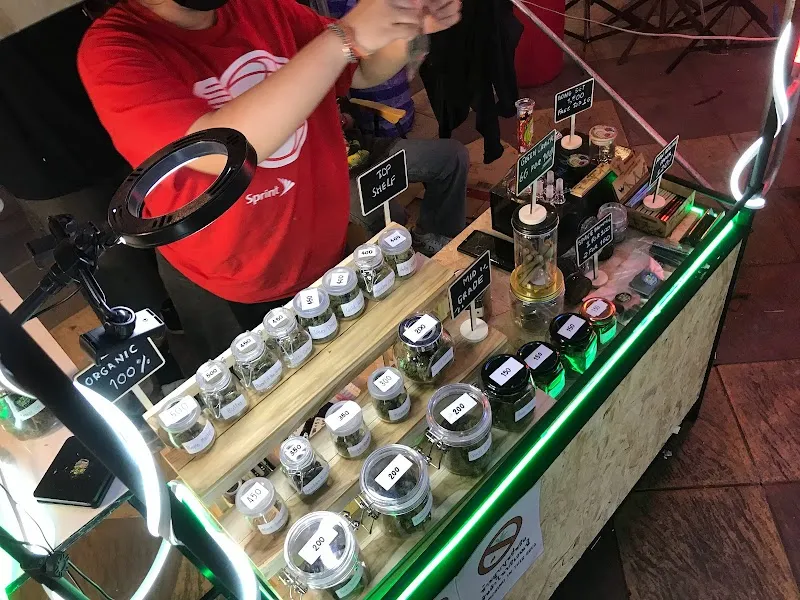 Herb Blood | Cannabis - Snus nicotine pouch In Udonthani