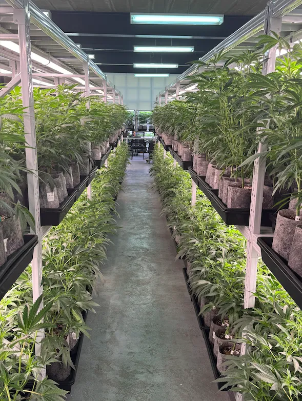 Hidden Valley Genetics CO.,LTD.