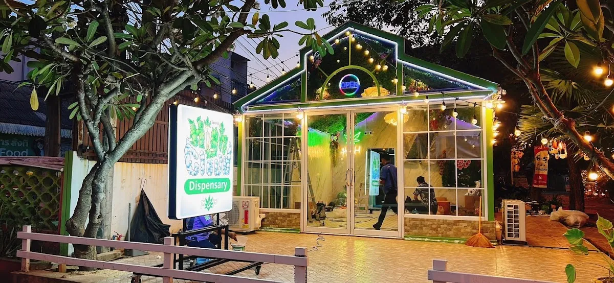 ร้านขายกัญชา High Cloud กาญจนบุรี (Kanchanaburi)