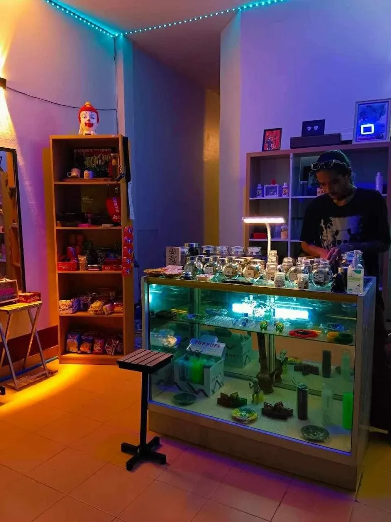 High Home Bar Cannabis