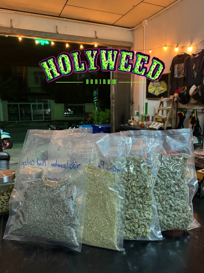 Holyweed Buriram
